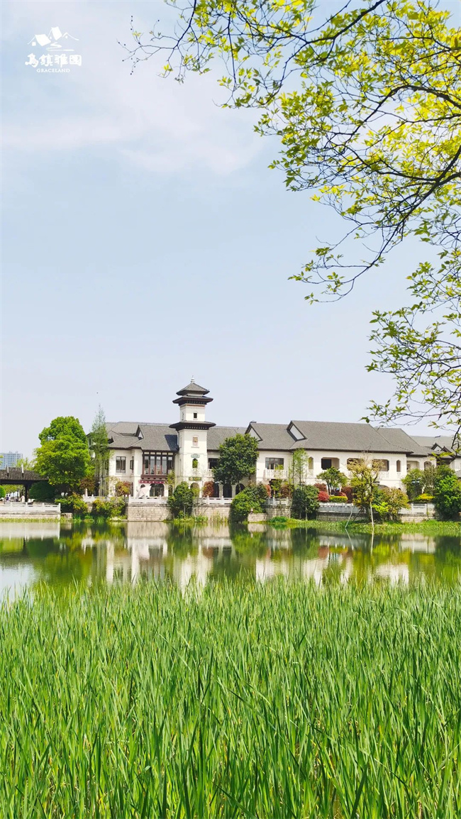 走入乌镇雅园寻找诗意传统色